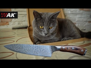 Как Правильно выбрать Кухонник на AliExpress