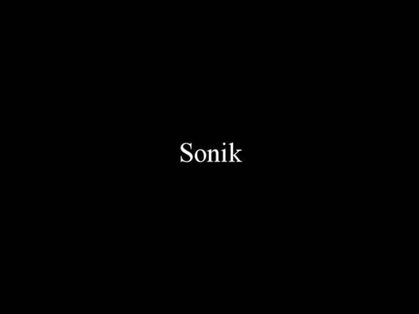 Sonik The Things You