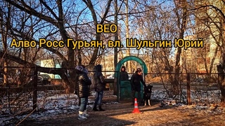 Испытания караульная служба (КС)