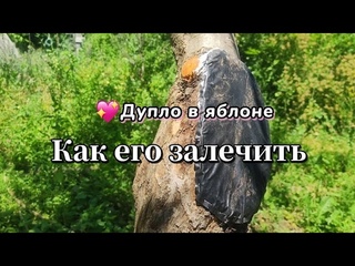 ЛЕЧУ ДУПЛО БЕЗ ЦЕМЕНТА И МОНТАЖНОЙ ПЕНЫ