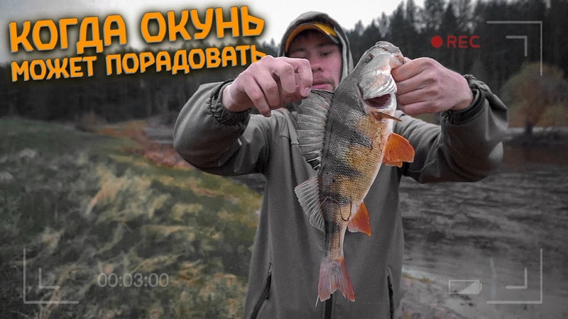 РЕКОРДНОГО ОКУНЯ на МАЛОЙ РЕКЕ ПОЙМАТЬ НЕ