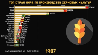 ТОП СТРАН МИРА ПО ПРОИЗВОДСТВУ ЗЕРНОВЫХ КУЛЬТУР ИНФОГРАФИКА,СТАТИСТИКАЛИДЕРЫ ПО ПРОИЗВОДСТВУ ЗЕРНА