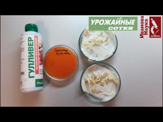 ШОК и КИПЯТОК Глупости! Выбирайте только настоящие стимуляторы роста растений! ТИТАНИУМ - лучше!