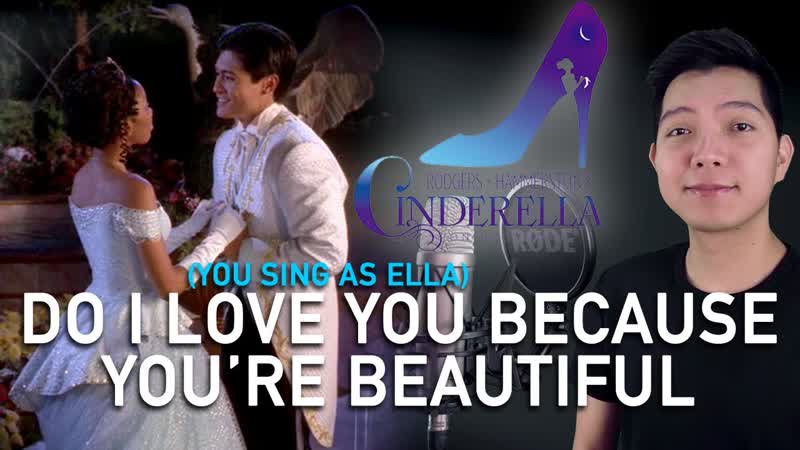Do I Love You Because You Re Beautiful ( Topher Part Only Karaoke)