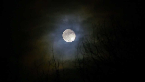 John Maus Molly Nilsson Hey Moon