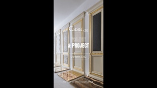 Project & Project #shorts