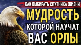 Как Орлица Выбирает ОРЛА для орлят? Мудрость, которой важно научиться у ОРЛОВ! Музыка Эдгар Туниянц