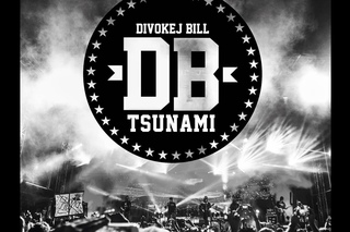 Divokej Bill - Tsunami (official video)