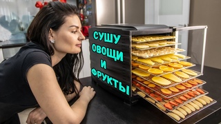 ОБЗОР дегидратора Oberhof Fruchttrockner В-53. Сушу овощи, фрукты, грибы и делаю приправы  0+