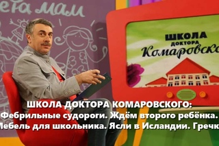 ШДК: Фебрильные судороги. Ждём второго ребёнка. Мебель для школьника. Ясли в Исландии. Гречка