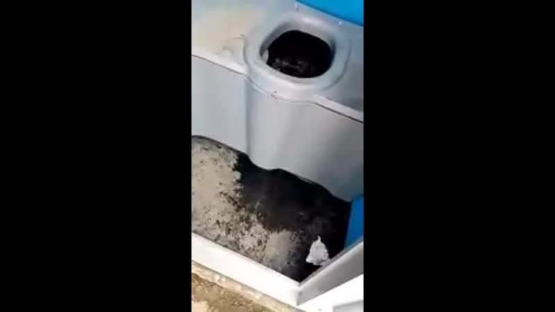 ты вкурсе я на тебя