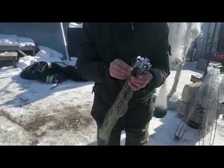 Хапуга рыболовная