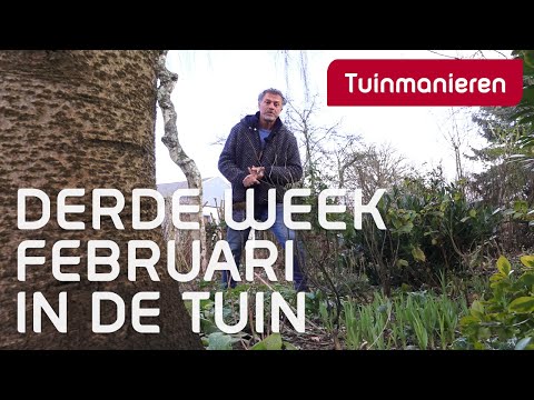 Wat doe je in de derde week van februari in de tuin , Winter,