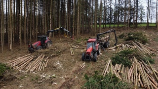 Zetor Crystal 16145 & Palms 10D + Valtra 170 s harvestorovou hlavicí | Ročildi . 🌲🪵