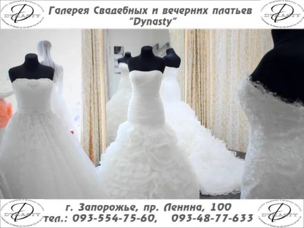 Dynasty Elianna