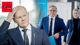 Nchste Umfrage-Klatsche: AfD pltzlich gleichauf mit der SPD - Grne verlieren weiter