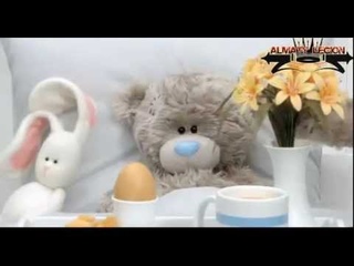 Мишки Тедди)