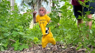 Bibi explores Dad's six month abandoned villa!