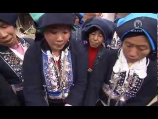 Чайный путь в небеса.1. В королевстве зелёного золота.