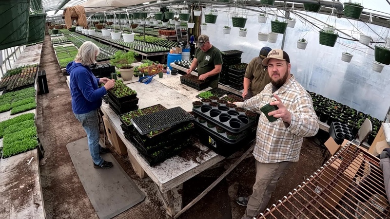 GREENHOUSE IS GETTING TOO FULL NOW