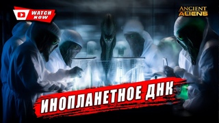 Гибридное потомство: Удивительное генетическое(Кинозал документальных фильмов.)