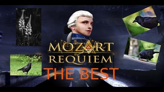 Wolfgang Amadeus Mozart Requiem