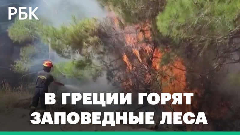 Горят заповедные леса с редкими птицами, с курортов