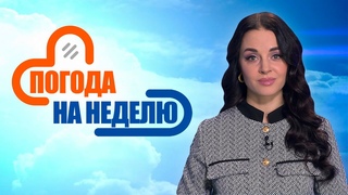 Первое ощутимое тепло! Прогноз погоды с  по  | Погода в Беларуси | Плюс-минус
