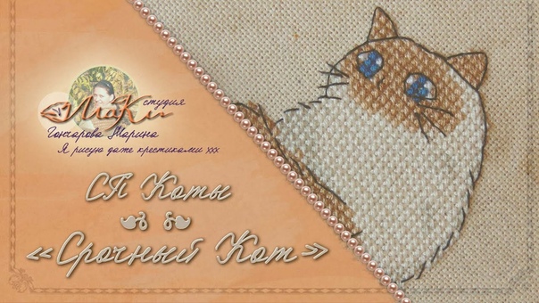 СП Мои Любимые Коты Срочный Кот пяльца