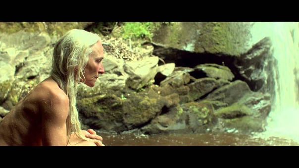 The Survivalist