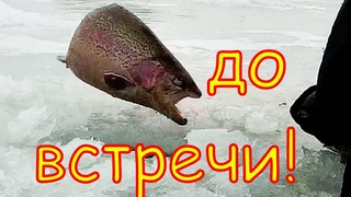 Денёк для актива