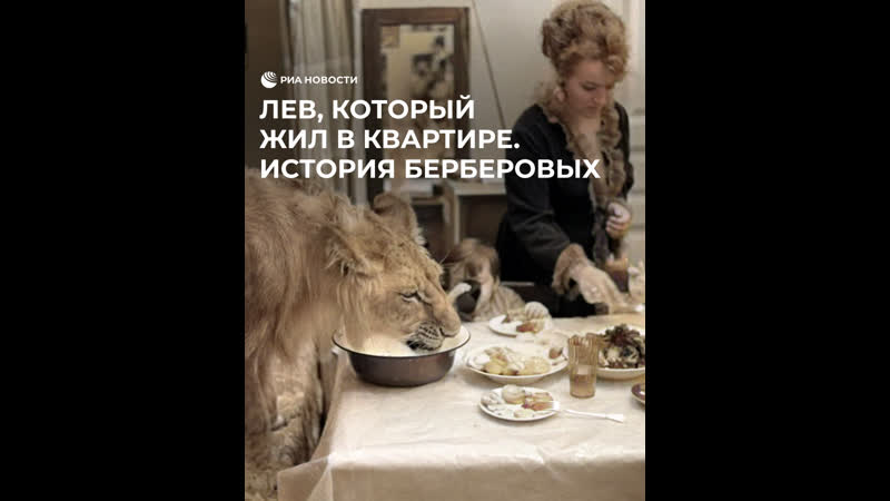 Лев, который жил в квартире. История