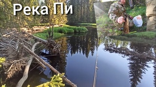 КРУТЫЕ  пейзажи таёжной реки, рыбалка летом