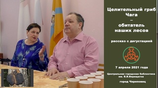 Гриб Чага - обитатель наших лесов. Рассказ с дегустацией.