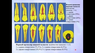 Эндодонтия 1. Основные понятия. Этапы эндодонтического лечения