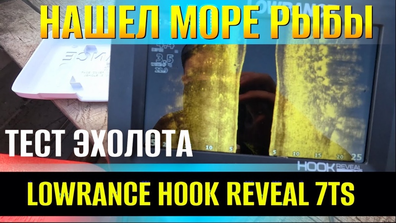 Нашел много рыбы с эхолотом LOWRANCE HOOK REVEAL 7 TS Первый сазан 2024
