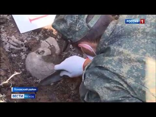На месте концлагеря Моглино обнаружено захоронение расстрелянных мирных жителей