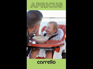 Apricus