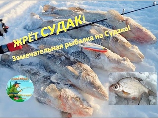 ЖРЁТ СУДАК! Замечательная рыбалка на Судака!