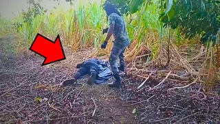 PAPA FIGO FOI ABATIDO NO MEIO DO CANAVIAL E ALGO MISTERIOSO ACONTECEU