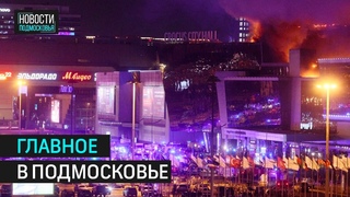 Лечение и помощь жертвам теракта в Крокусе. Трудовое воспитание молодёжи в Подмосковье