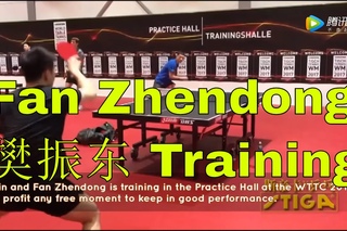 Fan Zhendong Training 2017