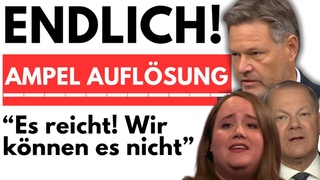 EILMELDUNG: DIE AMPEL LOST SICH AUF - Immer mehr Politiker verlassen die Koalition