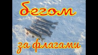 Погоняли меня флажки в январе 2024. Ловля щуки.