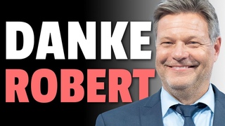 DER BESTE WAHLHELFER DER AfD