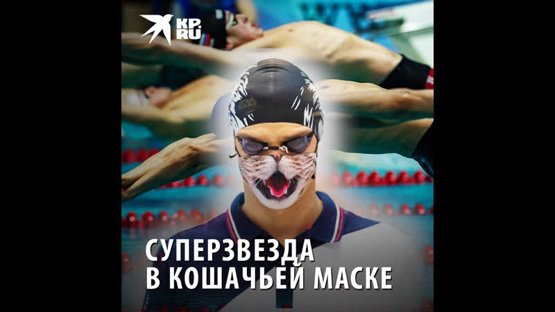 Суперзвезда в кошачьей