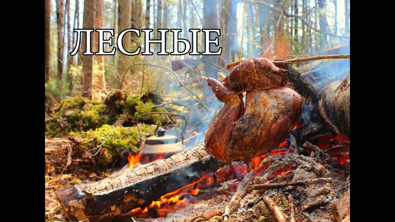 ПУТЬ ОХОТНИКА, НЕОБЫЧНЫЙ КОСТЕР ЖАРОВНЯ, ЗАПЕЧЕННОЕ МЯСО,