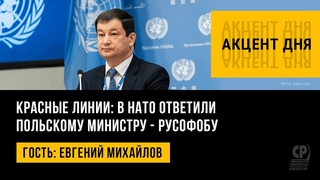 Красные линии: в НАТО ответили польскому министру - русофобу. Евгений Михайлов.