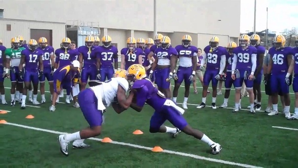 TSD TV: LSU Big Cat