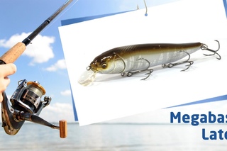 Воблеры Megabass Lates